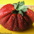 worlds-largest-strawberry.jpg