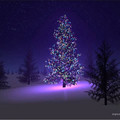 christmas_tree.jpg
