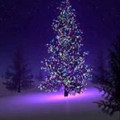 christmas_tree_2.jpg