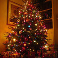 christmas_tree_5.jpg