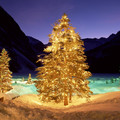 trees_snow_christmas_new_year_garlands_14880_3840x2400.jpg
