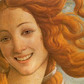 koty2_smile-more-3-5d39871d70dbf__880.jpg