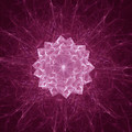 16467pink.jpg