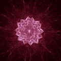16467red.jpg