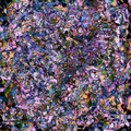 abstract188-wskyx.github.io.jpg