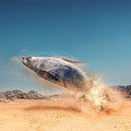 surreal-digital-art-huseyin-sahin-3-58d37c77a63a2_880.jpg