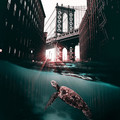 surreal-digital-art-huseyin-sahin-31-58d37cceb5d50_880.jpg