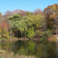 Morning_at_the_Pond_by_PixieDark.jpg
