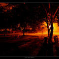 Park_Lighting_II.jpg