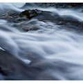 forevermore_by_werol.jpg