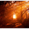 walk_with_me_by_werol.jpg