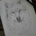 EnNkmbmW8AIrI_F.jfif