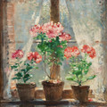 Geraniums ~ Pierre Montézin.jpg