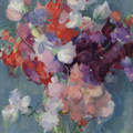 Sweet Peas ~ Joop Stierhout.jpg