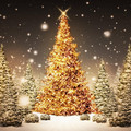 snow-over-the-trees-in-the-forest-christmas-time_5120x3200.jpg