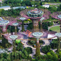 Supertrees at Gardens by the Bay, Singapore.jpeg