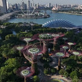 Supertrees at Gardens by the Bay, Singapore.mp4