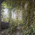 I-found-places-where-nature-mixes-with-humans-built-environment-in-Europe-5cecd041c5215_880.jpg