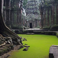 Ta_Prohm_Temple,_Cambodia.jpg