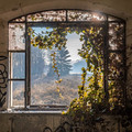 abandoned_asylum_in_italy.jpg