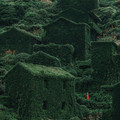 grassy_houses.jpg