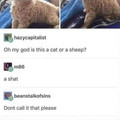 HPMDpOsXgAEbUGg.jpg