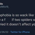 arachnophobia.jpg