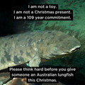 australian lungfish.jpg