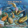 i was born in the wrong generation.jpg