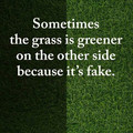 grass.jpg