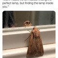 lamp.jpg
