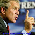 bush_via_the_daily_mirror.jpg
