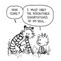 inscrutible exhortations.jpeg