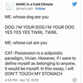 whose_cat_are_you.jpg