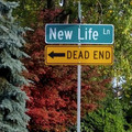 new life ln.jpeg