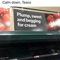 begging for cream.jpg