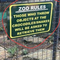 crocodiles.jpg