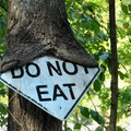 do_not_eat.webp
