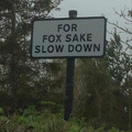 for fox sake.jpg