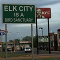 main-qimg-a6fe2d670e3876ab0a31ffffd02bd0d6.jpeg