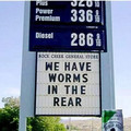worms in the rear.jpg
