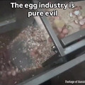 pure evil.mp4