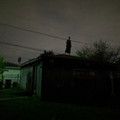 went out and saw this.jpg