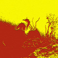 d18pd21-904e3c3e-5ecd-4f42-85b6-ac9c02eafb1f.jpg