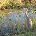 douuk-21e93084-03ee-4561-b850-df827f4aeacf.jpg