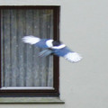 duj565-396cb242-e7fa-4b68-b953-3736f3ba7e62.jpg