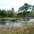 DSCF0016.JPG