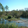 DSCF0022.JPG