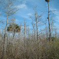 DSCF0034.JPG