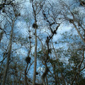 DSCF0035.JPG